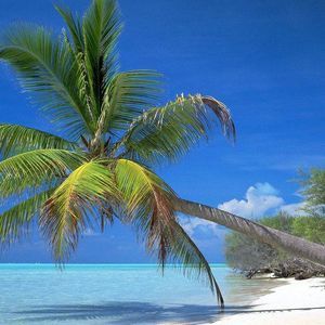 Meet your Posher, Mary lou